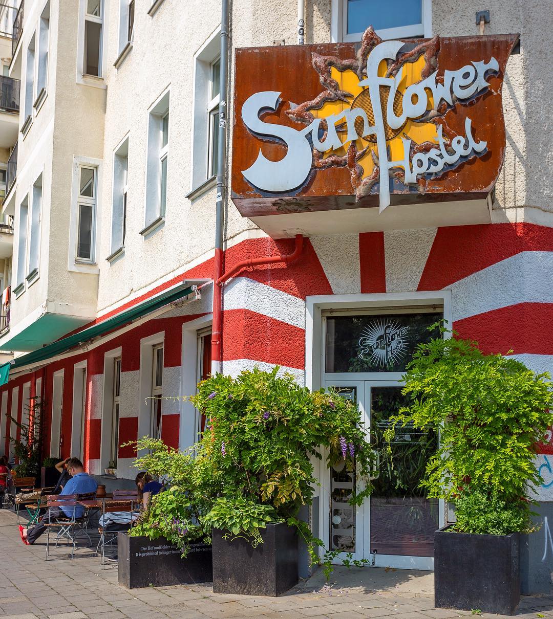 Sunflower Hostel
